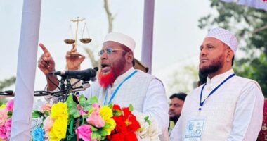 সবদিক থেকে ব্যর্থ হয়ে বিএনপি এখন জামায়াতের ওপর সাইবার আক্রমণ করছে : মিয়া গোলাম পরওয়ার