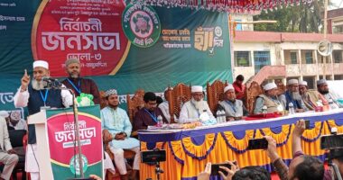 আগামীর দেশ হবে ন্যায় ও ইনসাফের : অধ্যাপক মুজিবুর রহমান