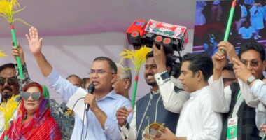 ট্রাক মার্কার নুরু এই এলাকারই ছেলে, তাকেও বিজয়ী করে আনবেন : তারেক রহমান