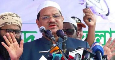 জামায়াতের অসৎ আচরণে আমরা সেখান থেকে বেরিয়ে এসেছি : চরমোনাই পীর