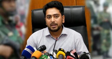 জাতির উদ্দেশে ভাষণ দেবেন নাহিদ ইসলাম