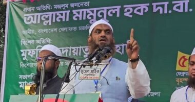 ব্যালট বিপ্লবের মাধ্যমে রাজনীতি থেকে সন্ত্রাস ও দুর্নীতি বিদায় করা হবে : মামুনুল হক