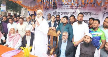 জামায়াতের ডিজিটাল ষড়যন্ত্রের বিরুদ্ধে সতর্ক থাকতে হবে : কায়কোবাদ