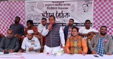 লালমোহনে ধানের শীষের পক্ষে উঠান বৈঠক অনুষ্ঠিত