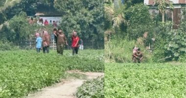 মুন্সিগঞ্জ সদরে প্রচারণাকালে ককটেল নিক্ষেপ, পুলিশ মোতায়েন