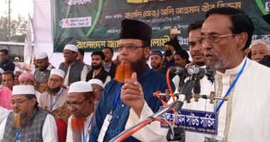 যখন বুঝলাম বিএনপি আর বেশিদিন টিকবে না, সেদিনই বিএনপি ত্যাগ করেছি : কর্নেল অলি