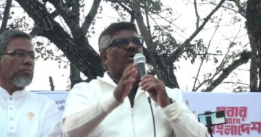 ১৭ বছরের কষ্ট -নির্যাতনের অবসান হবে আগামী ১২ তারিখ : দুলু