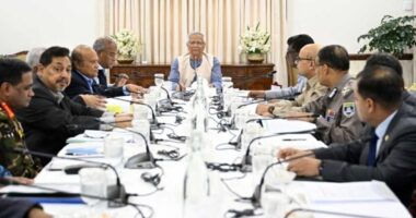 আগামী এক সপ্তাহ খুবই ক্রুশিয়াল : প্রধান উপদেষ্টা