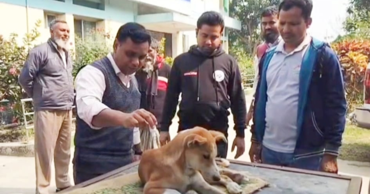 নলডাঙ্গায় অসুস্থ কুকুরের পাশে"বিবিসিএফ"