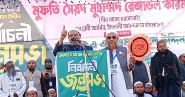 ইসলামের পক্ষে একমাত্র বাক্স হাতপাখা : চরমোনাই পীর