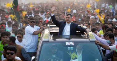 নির্বাচনের পর দেশে শক্তিশালী গণতন্ত্র প্রতিষ্ঠিত হবে : সালাহউদ্দিন আহমদ