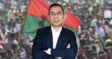 ঢাকা-১৭ আসনে বিপুল ভোটে বিজয়ী বিএনপি চেয়ারম্যান তারেক রহমান