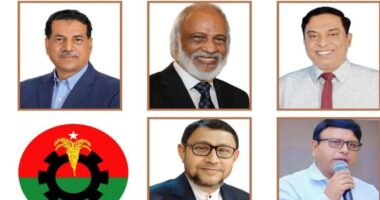 নরসিংদীর পাঁচ আসনেই বিপুল ভোটে বিএনপি প্রার্থীরা বিজয়ী