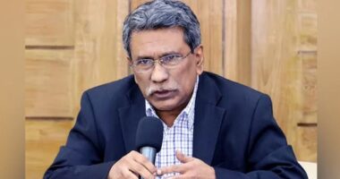 নির্বাচিত সংসদ সদস্যরা দুই বিষয়ে শপথ নেবেন : আলী রীয়াজ