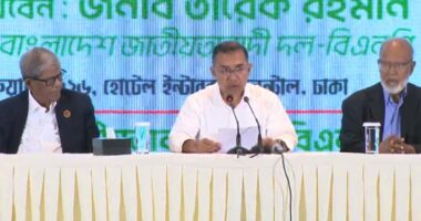 ভবিষ্যতে কেউ যেন স্বৈরাচার হতে না পারে, সবাইকে ঐক্যবদ্ধ থাকতে হবে : তারেক রহমান