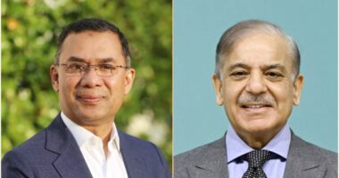 তারেক রহমানের শপথে শেহবাজ শরিফকে আমন্ত্রণের পরিকল্পনা বিএনপি