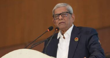 তারেক রহমানই হচ্ছেন ভবিষ্যতের প্রধানমন্ত্রী : মির্জা ফখরুল