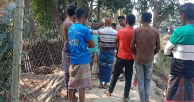 নলডাঙ্গায় মৎসচাষীর উপর যুবদলের হামলা - এলাকায় আতঙ্ক