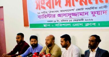 নির্বাচনে লেভেল প্লেয়িং ফিল্ড নিশ্চিত হয়নি : ব্যারিস্টার ফুয়াদ