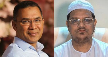 আজ সন্ধ্যায় চরমোনাই পীরের সঙ্গে সাক্ষাৎ করবেন তারেক রহমান