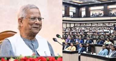 কর্মকর্তা ও কর্মচারীদের উদ্দেশে বিদায়ী ভাষণ দিলেন প্রধান উপদেষ্টা