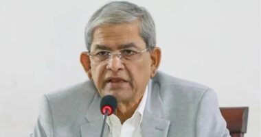 শেখ হাসিনায় আটকে থাকবে না ভারত-বাংলাদেশ সম্পর্ক : মির্জা ফখরুল