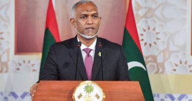 শপথ অনুষ্ঠানে যোগ দিতে ঢাকার পথে মালদ্বীপের প্রেসিডেন্ট