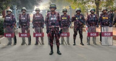 সংসদ ভবন এলাকায় নিরাপত্তা জোরদার, ১২ প্লাটুন বিজিবি মোতায়েন