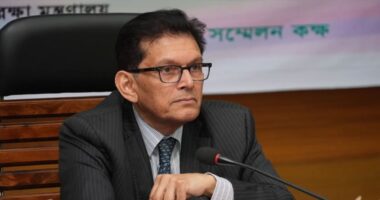 আমি তো নিজের ইচ্ছায় মন্ত্রী হইনি : খলিলুর রহমান