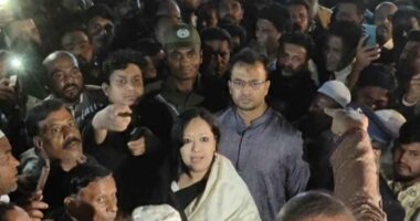 বিএনপি নেতাকর্মীদের বাধায় শহীদ মিনারে শ্রদ্ধা জানাতে পারলেন না ব্যারিস্টার রুমিন ফারহানা