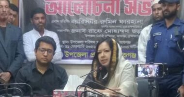 যখন যে দল আসে তার মতো করে ইতিহাস রচনা করে : রুমিন ফারহানা