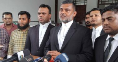 প্রথম অধিবেশনে যেকোনো সংসদ সদস্য স্পিকারের দায়িত্ব পালন করতে পারবেন : আইনজীবী শিশির মনির