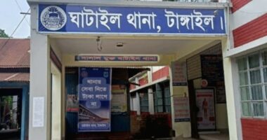 ঘাটাইলে গাছের ডাল কাটা কেন্দ্র করে হামলায় নারীসহ ৫ জন আহত