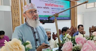 ‘এবারে যে নির্বাচনটি হয়েছে আমার দেখা মতে, বাংলাদেশের ইতিহাসে সবচেয়ে শ্রেষ্ঠ একটি নির্বাচন' : মাসুদ সাঈদী