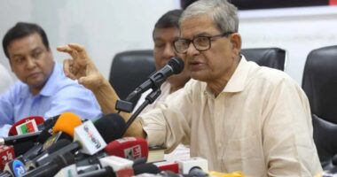 ‘রাজনৈতিক প্রশাসকরা আমলাদের তুলনায় ভালোভাবে কাজ করবে’ : মির্জা ফখরুল