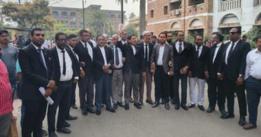 আওয়ামী লীগ নেতাদের জামিন, আদালত বর্জন করে আইনজীবীদের বিক্ষোভ