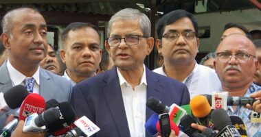 সেনাবাহিনীর মনোবল ভেঙে দিতেই ৫৭ জন কর্মকর্তাকে হত্যা করা হয় : এলজিআরডি মন্ত্রী মির্জা ফখরুল