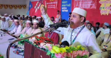 নির্বাচনে কী হয়েছে সবাই জানে, ভোট গেছে দাঁড়িপাল্লায়, পাস করেছে অন্যজন : জামায়াত নেতা