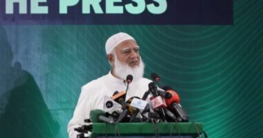 বিএনপি সংখ্যাগরিষ্ঠ মানুষের ভোট পায়নি, কায়দা করে নেয়া হয়েছে : জামায়াত আমির