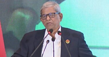 পৌরসভায় রাজনৈতিক প্রশাসক নিয়োগের পরিকল্পনা নেই : মির্জা ফখরুল