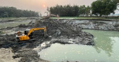 সিঙ্গাইরে অবৈধ মাটি কাটার বিরুদ্ধে অভিযান, ব্যবসায়ীকে ১ লাখ টাকা জরিমানা