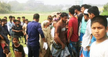 মাধবদীতে সরিষা ক্ষেত থেকে কিশোরীর লাশ উদ্ধার