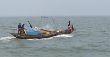 ইলিশের উৎপাদন বাড়াতে দুই মাস নদীতে মাছ ধরা নিষিদ্ধ