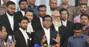 অসমাপ্ত কাজ সম্পন্ন করবেন নতুন চিফ প্রসিকিউটর : আশা তাজুল ইসলামের