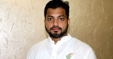 ঢাকা দক্ষিণ থেকে সিটি নির্বাচন করবেন ইশরাক হোসেন