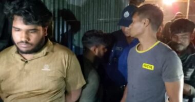 টাঙ্গাইলে গভীর রাতে ঘোড়া জবাই করে মাংস প্যাকেটজাত করার সময় কসাইসহ আটক ৪