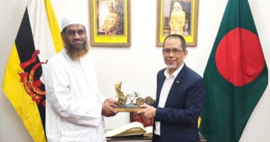 ব্রুনেই রাষ্ট্রদূতের সঙ্গে মামুনুল হকের সৌজন্য সাক্ষাৎ