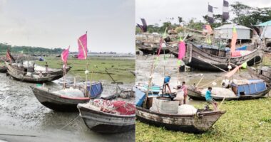 মাছ ধরার নিষেধাজ্ঞায় লালমোহনে প্রায় ২৭ হাজার জেলে কর্মহীন