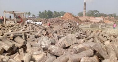 বান্দরবানে ৫টি অবৈধ ইটভাটা মালিকের বিরুদ্ধে গ্রেপ্তারি পরোয়ানা