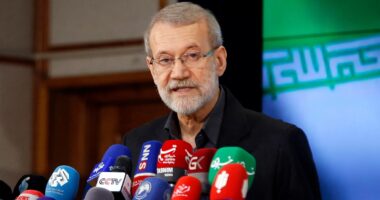 ‘আমরা যুক্তরাষ্ট্রের সঙ্গে কোনো আলোচনা করব না’ : ইরানের নিরাপত্তা প্রধান আলী লারিজানি